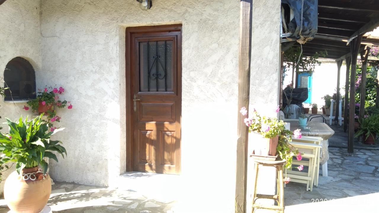 Skiathos Riviera Studios Punta Eksteriør billede