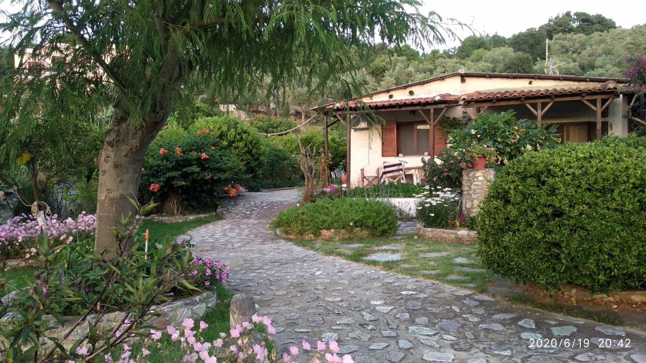 Skiathos Riviera Studios Punta Eksteriør billede