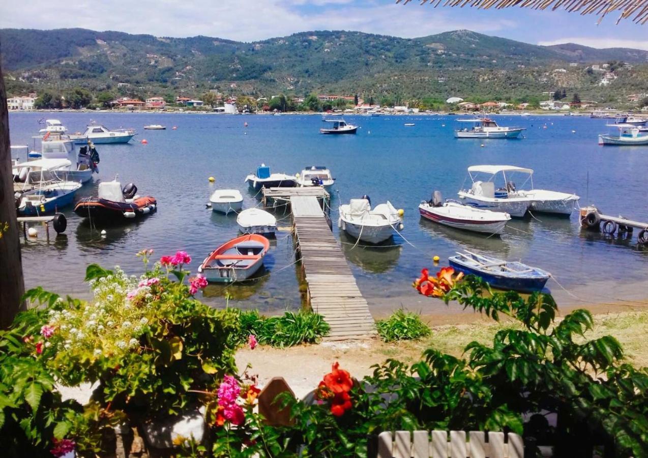 Skiathos Riviera Studios Punta Eksteriør billede